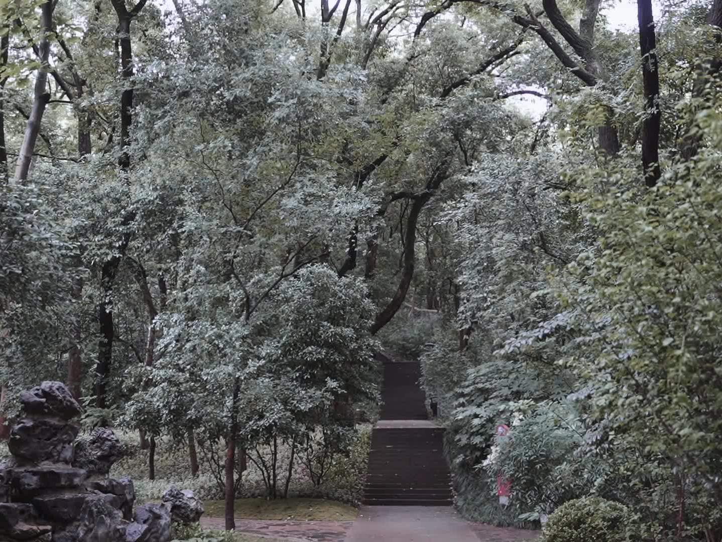 「資深檔」單機位快剪