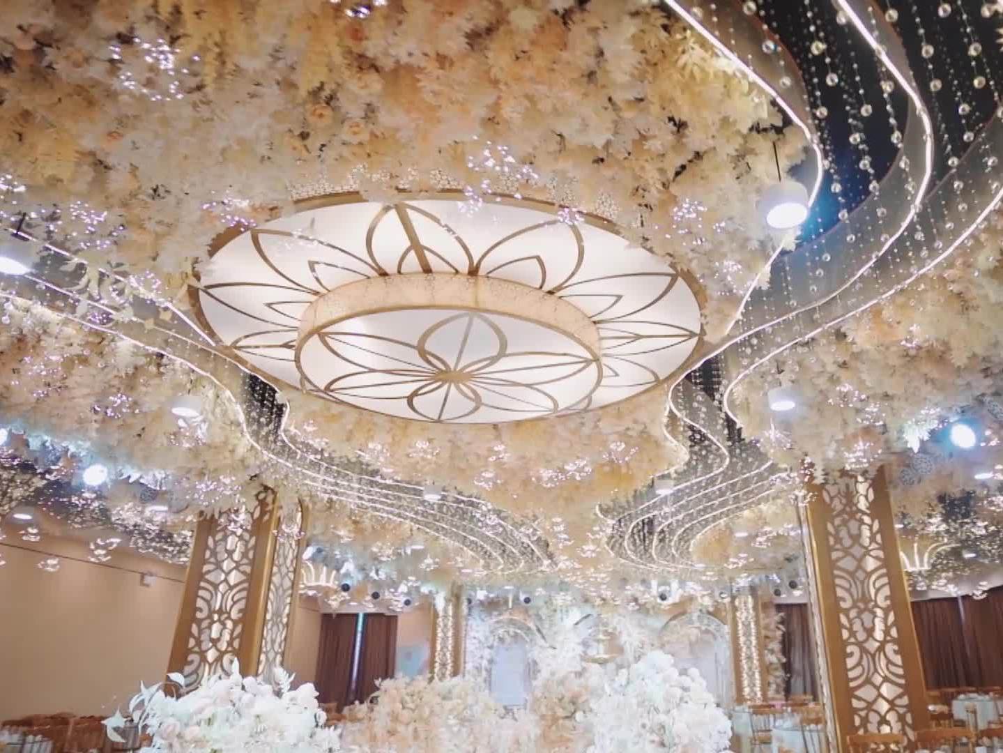 资深档