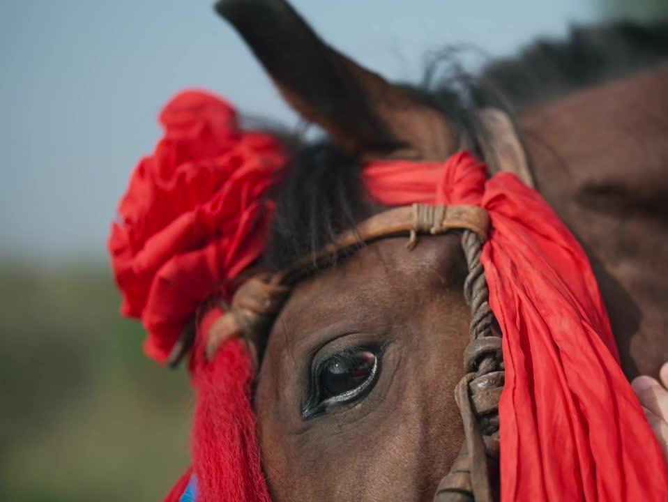 蒲城村上传统婚礼