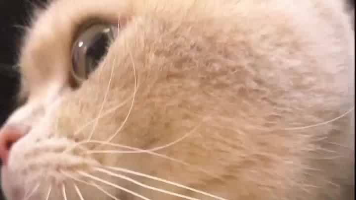 测试十四位和第哦为何第三第四的挥