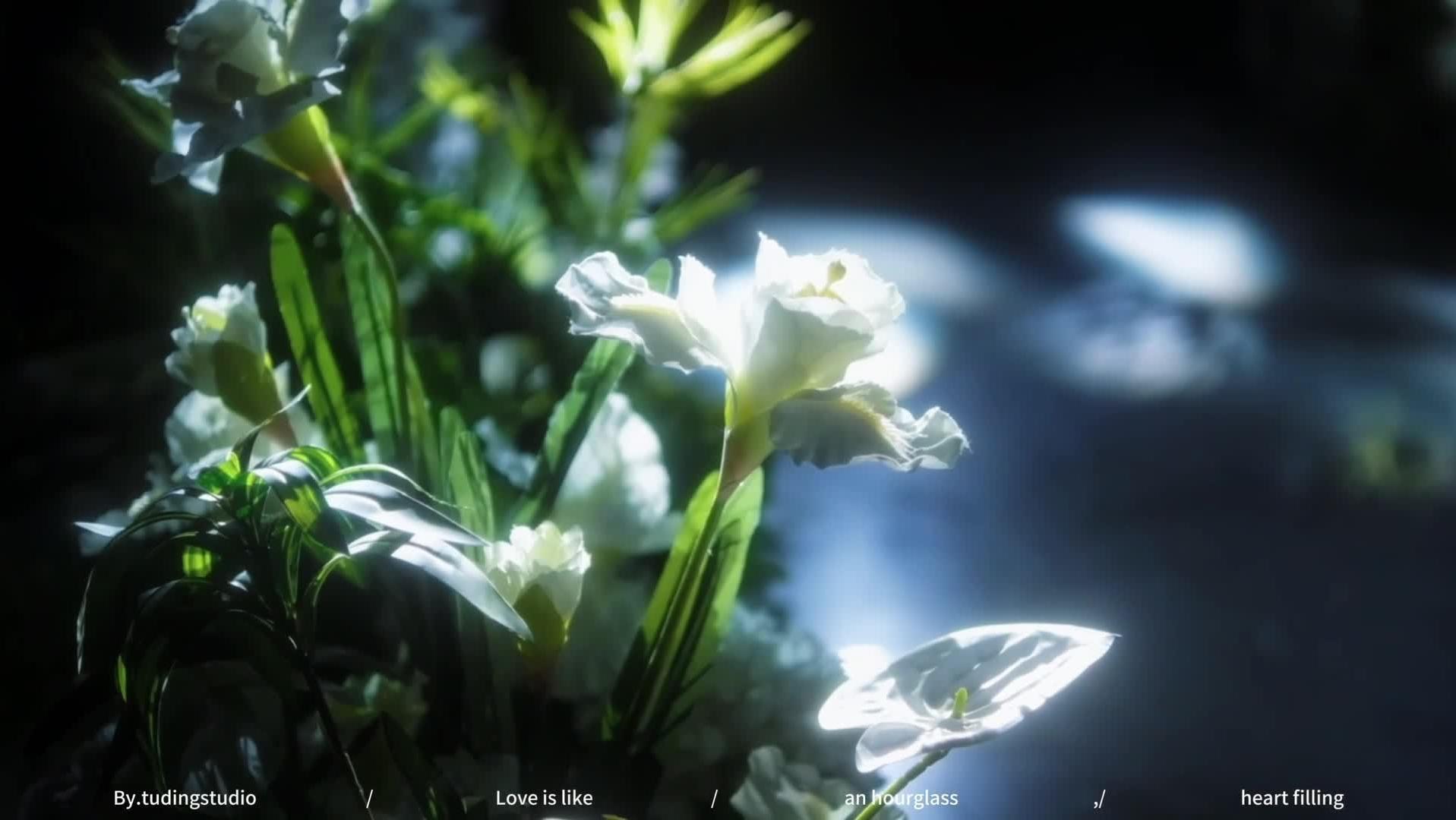 双星归航，一路同行