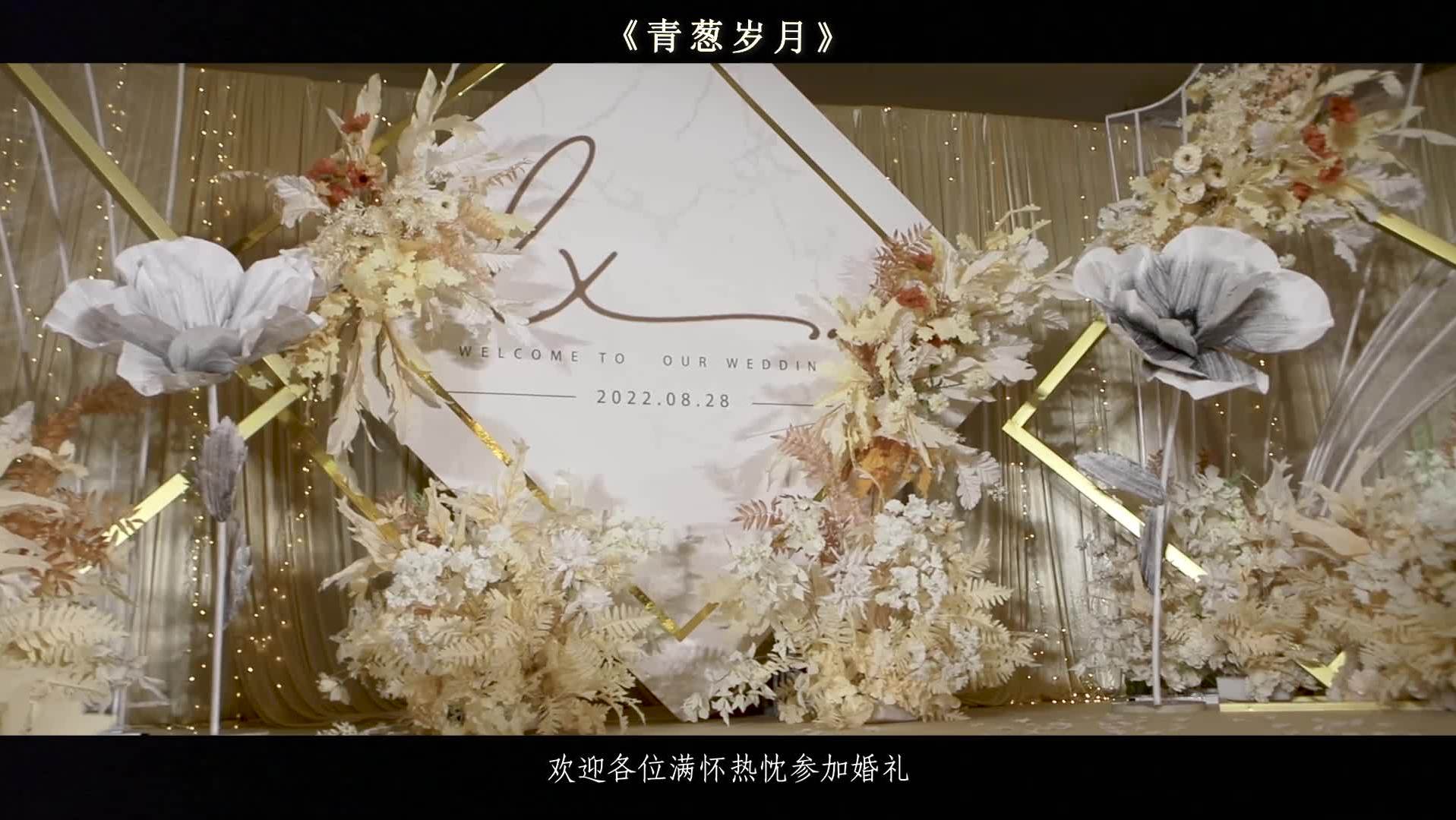全程/婚礼作品《青葱岁月》