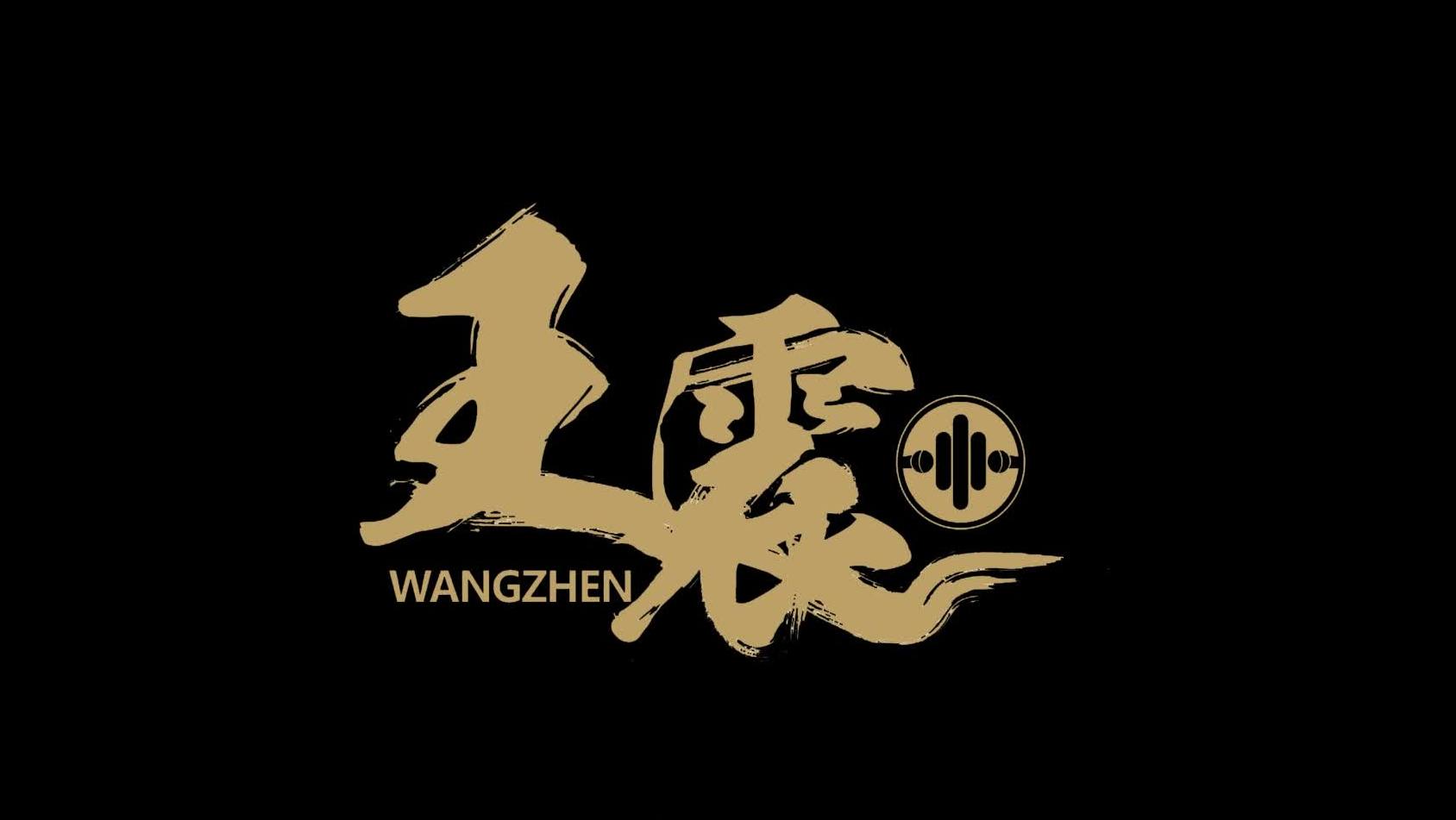 杭州文化广播电视集团主持人 王震