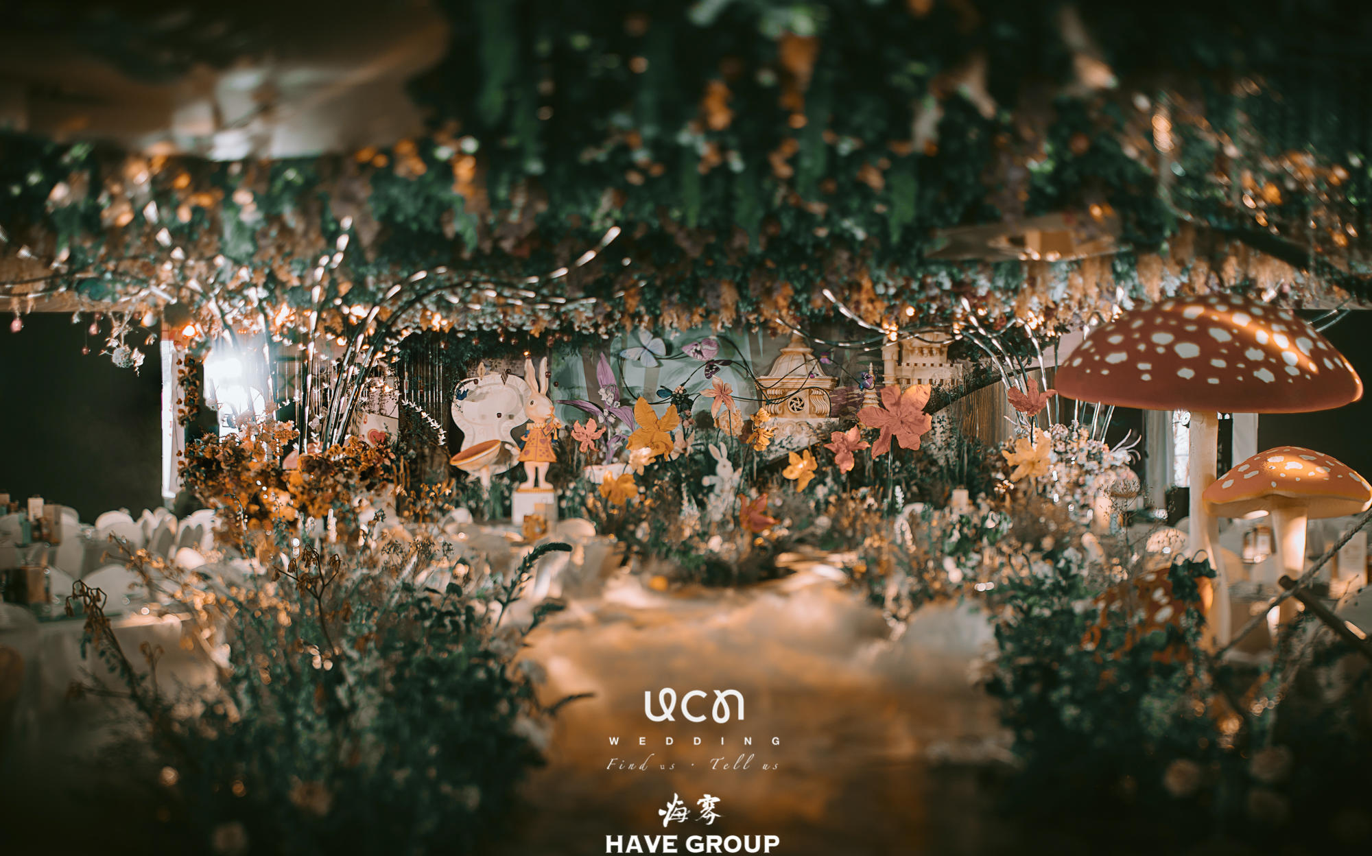 大棚改造 | 爱丽丝仙境