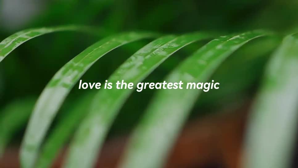 户外自然 声音有温度