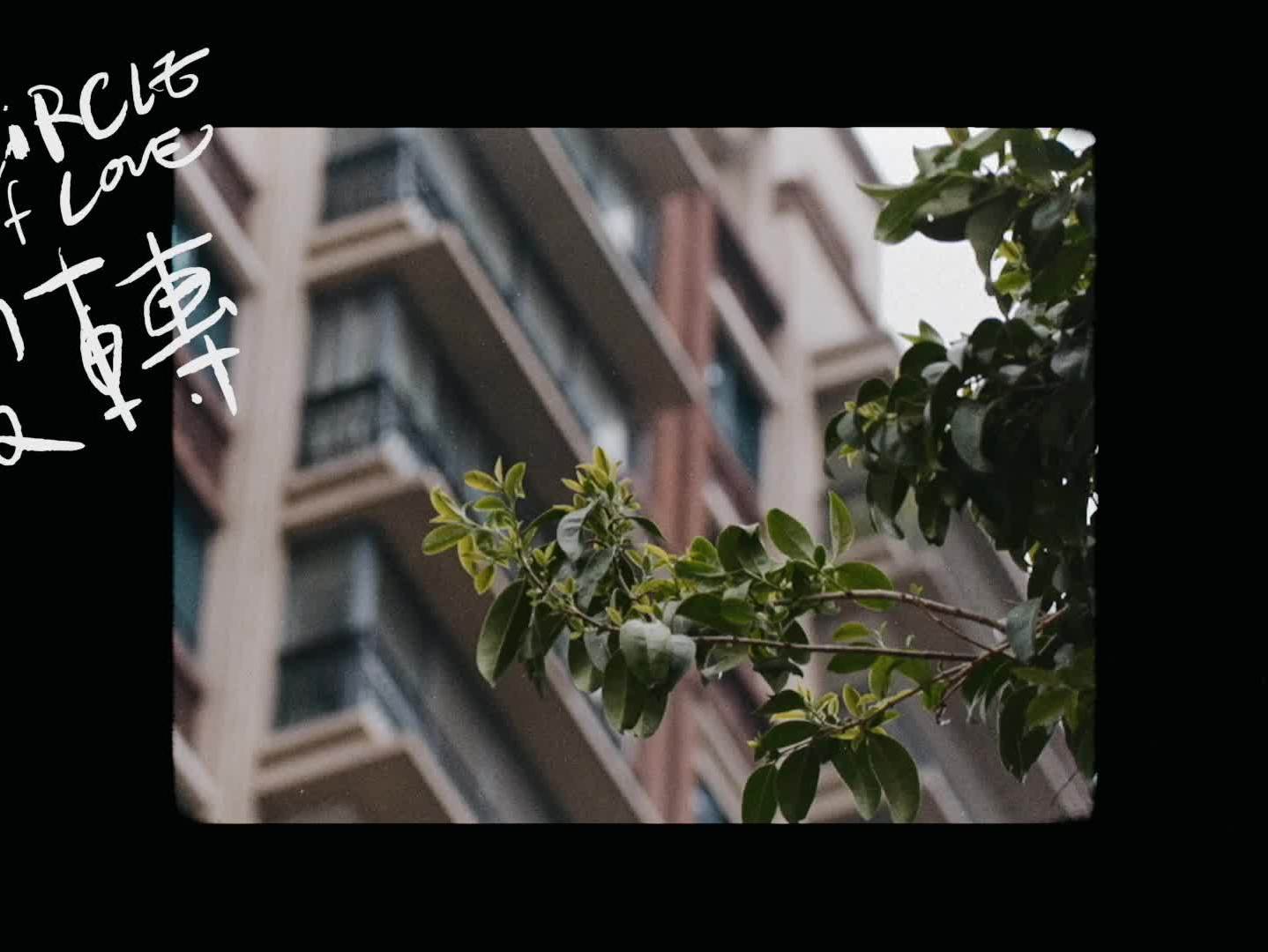 欢快婚礼快剪