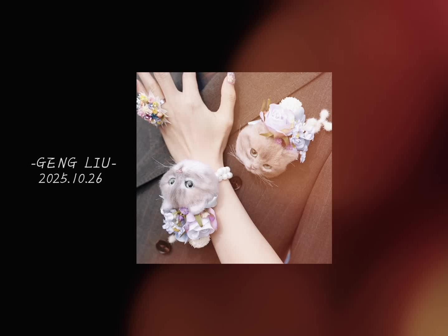 女明星婚禮 歡快紀(jì)實(shí) 輕松 小眾 氛圍